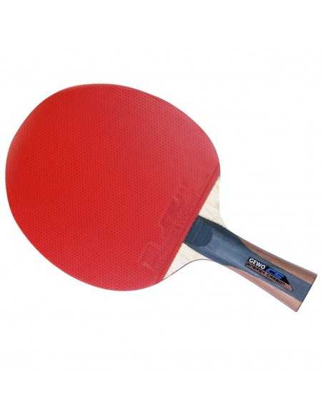 GEWO Bat CS Energy Carbon