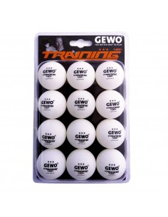 GEWO Training ball *** 40+ 12er